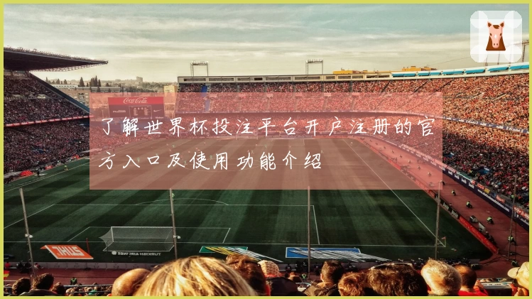 了解世界杯投注平台开户注册的官方入口及使用功能介绍