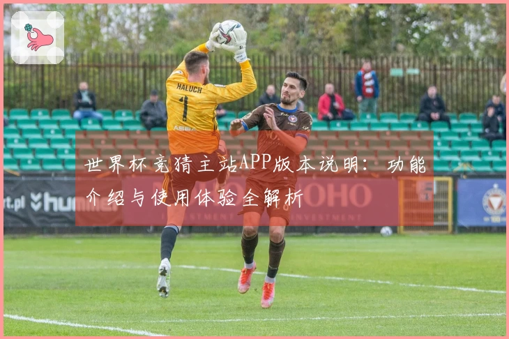 世界杯竞猜主站APP版本说明：功能介绍与使用体验全解析