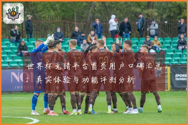 世界杯竞猜平台首页用户口碑汇总：真实体验与功能评测分析