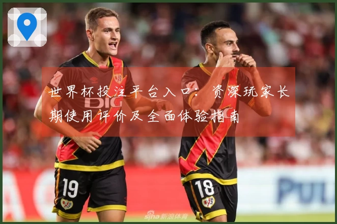 世界杯投注平台入口：资深玩家长期使用评价及全面体验指南