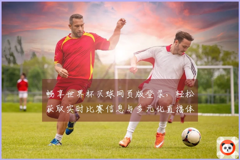 畅享世界杯买球网页版登录，轻松获取实时比赛信息与多元化直播体验