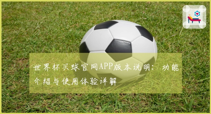 世界杯买球官网APP版本说明：功能介绍与使用体验详解